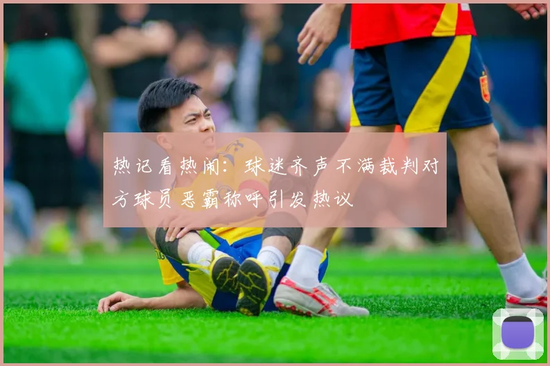 热记看热闹：球迷齐声不满裁判对方球员恶霸称呼引发热议